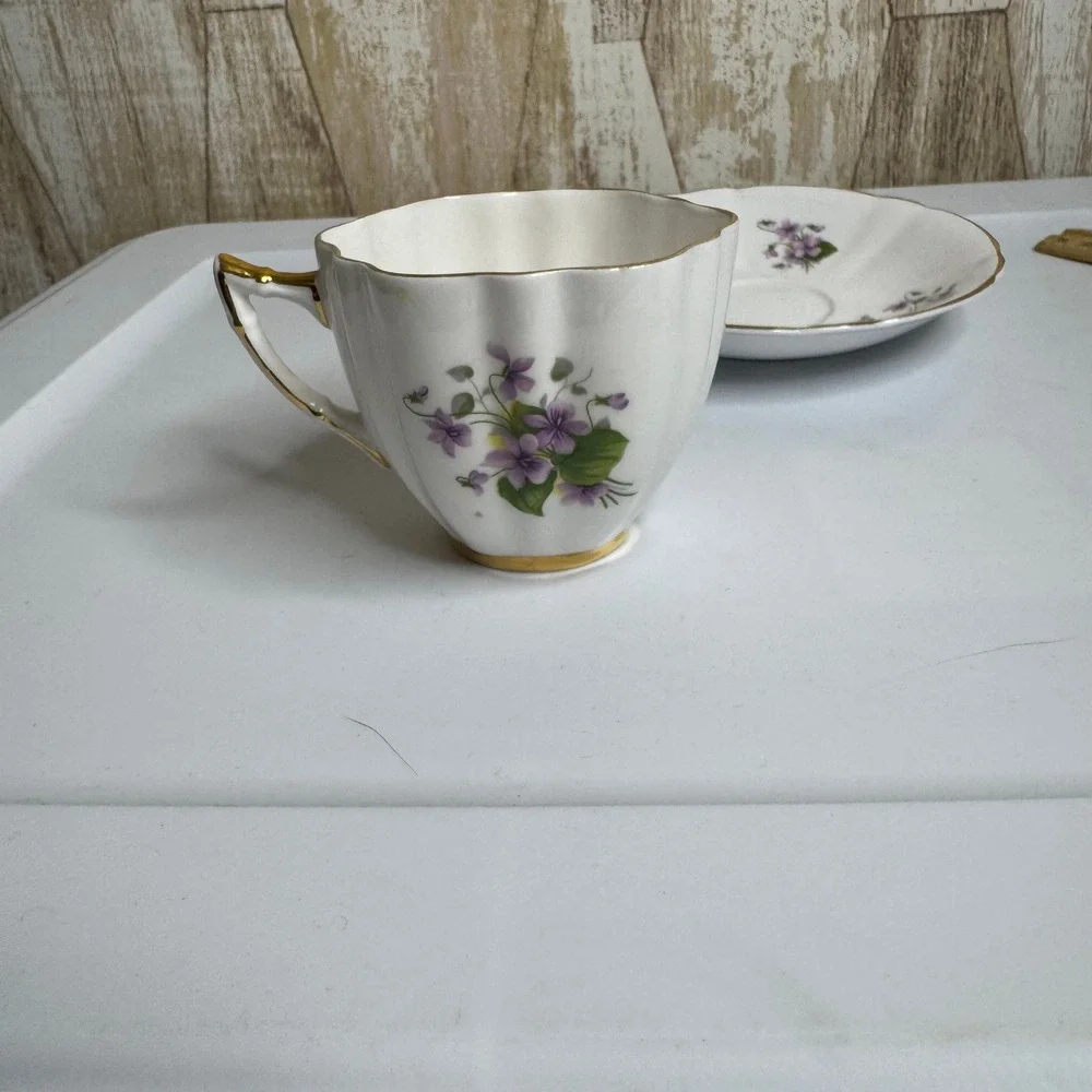 Royal Victoria Fine Bone China Tea Cup and Saucer Set Violets Gold Trim England
